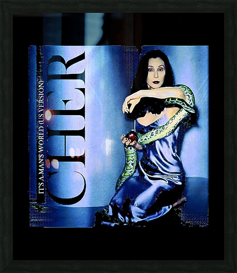 Cher 29 Picture Frame print