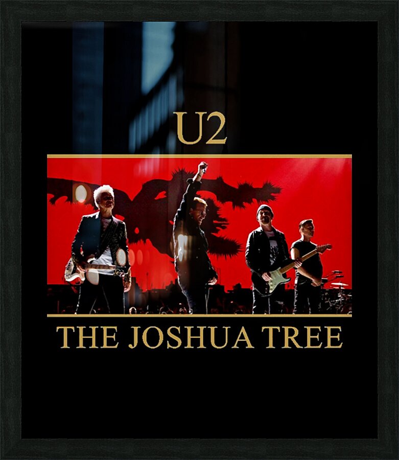 U2 15 Picture Frame print