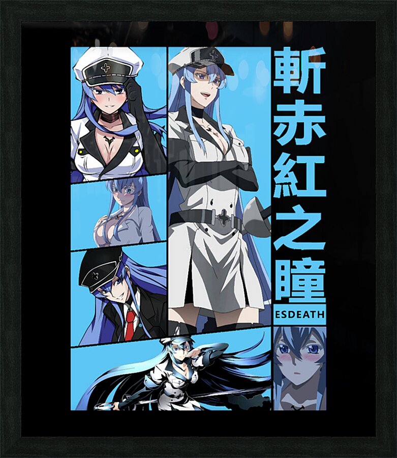 Akame ga Kill 2 Picture Frame print