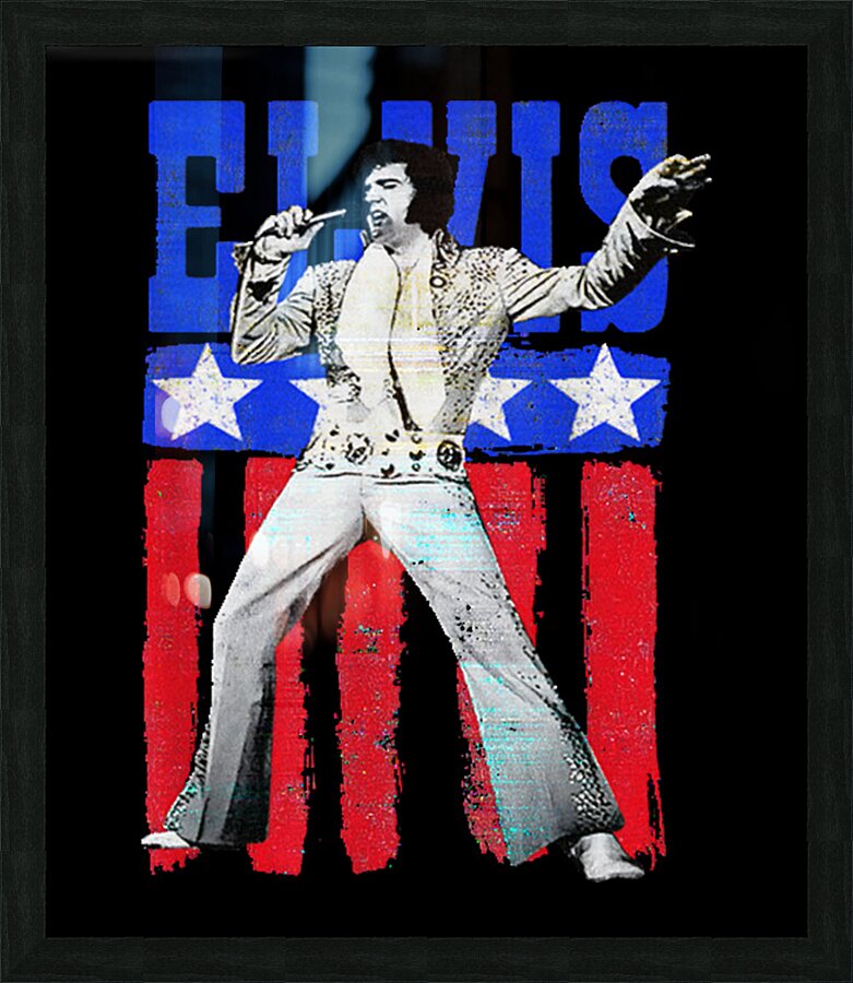 Elvis Presley 4 Picture Frame print