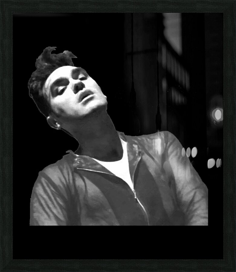 Morrissey 6 Picture Frame print