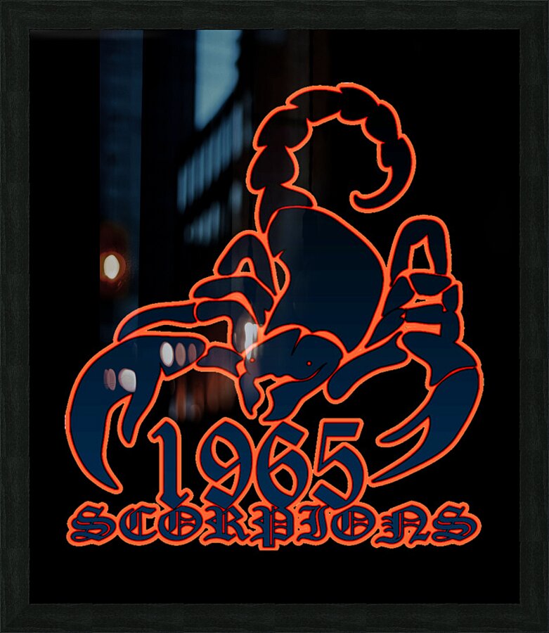 Scorpions 21 Picture Frame print