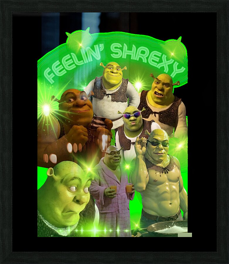 Shrek 14 Picture Frame print
