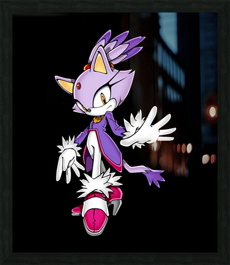 Sonic 13 Picture Frame print