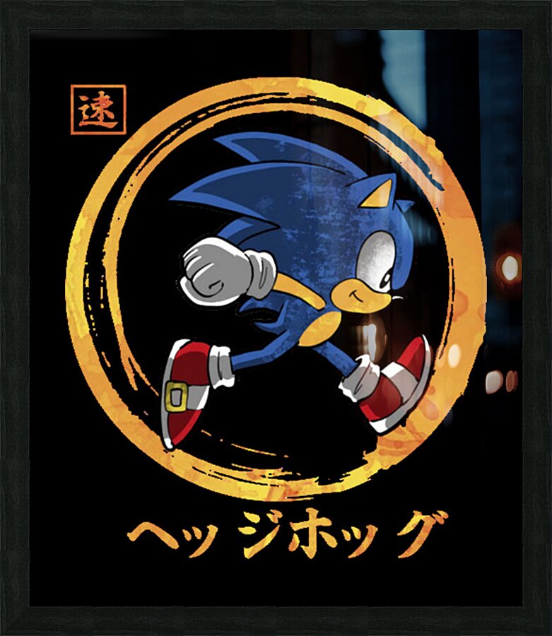 Sonic 17 Picture Frame print