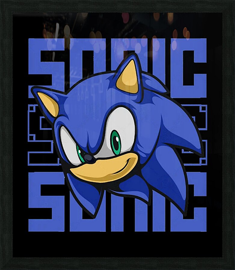 Sonic 23 Picture Frame print