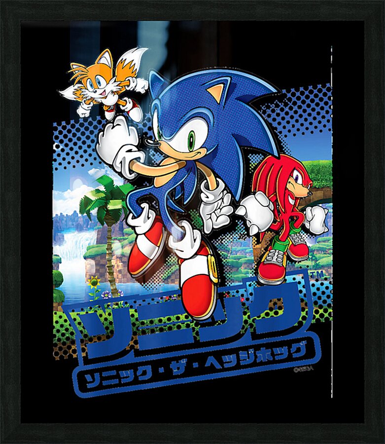 Sonic 36 Picture Frame print