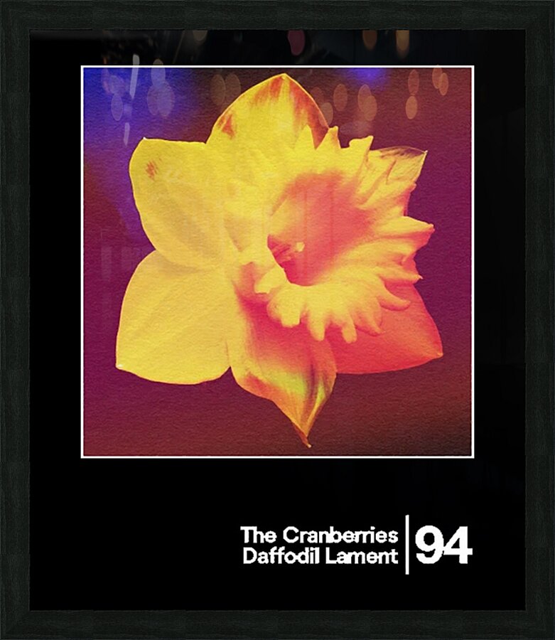 The Cranberries 5 Picture Frame print