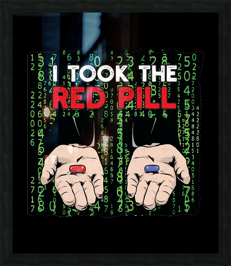 The Matrix 11 Picture Frame print