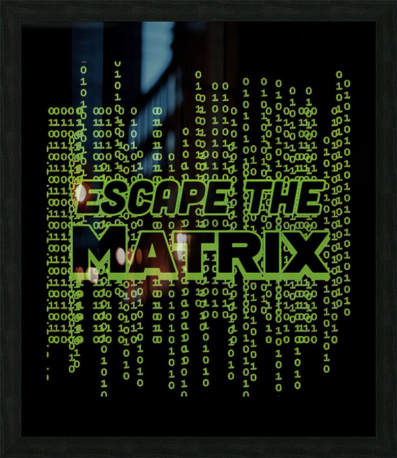 The Matrix 28 Picture Frame print