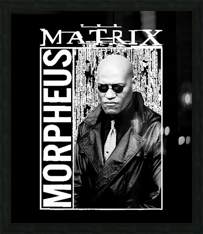 The Matrix 38 Picture Frame print