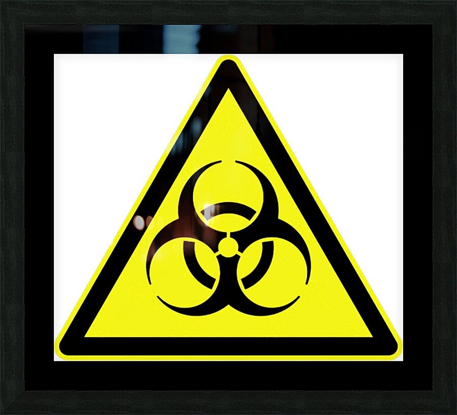 BIOHAZARD 3 Picture Frame print