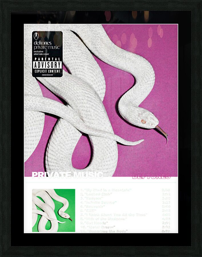 Deftones 19 Picture Frame print