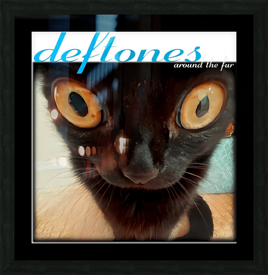 Deftones 28 Picture Frame print