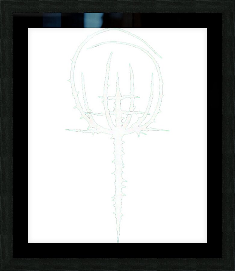 Lacuna Coil 28 Picture Frame print