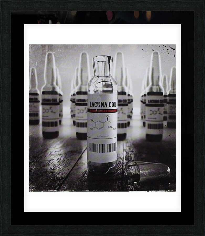 Lacuna Coil 42 Picture Frame print