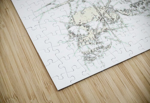 Beartooth 47 KhoaNguyen puzzle
