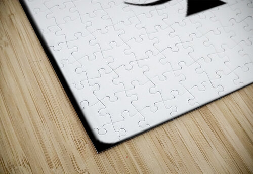 BIOHAZARD 34 KhoaNguyen puzzle
