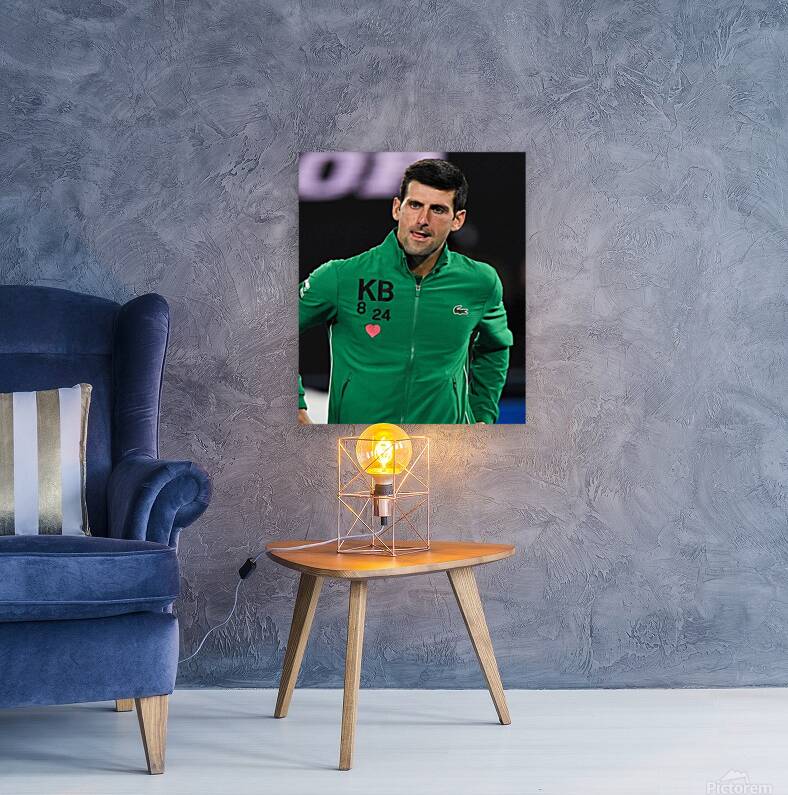 novak djokovic Reproduction