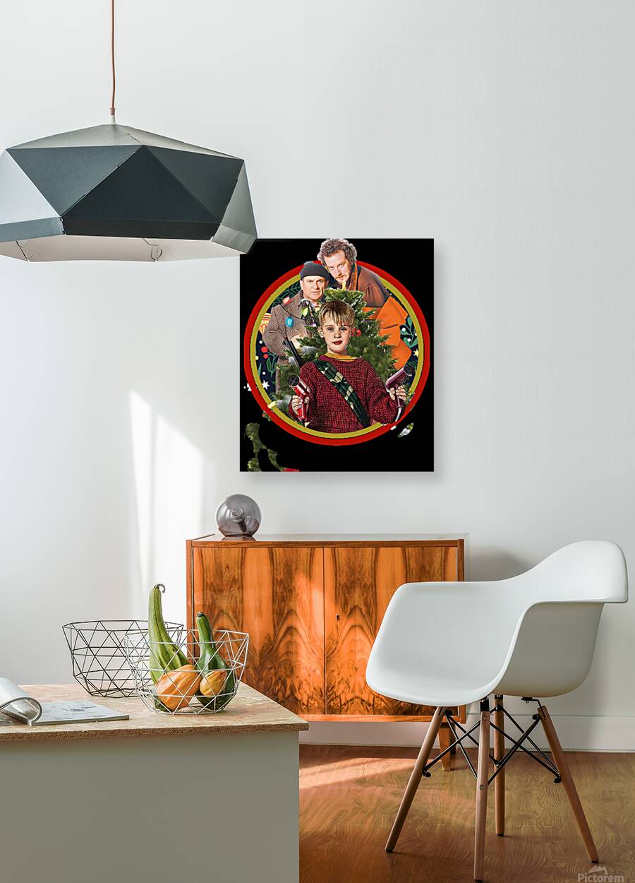 home alone 14 Reproduction