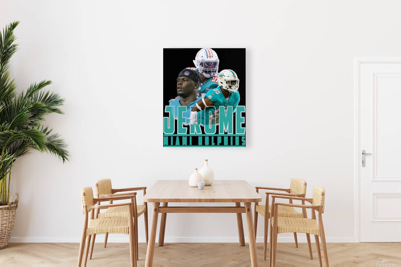 miami dolphins 5 Reproduction