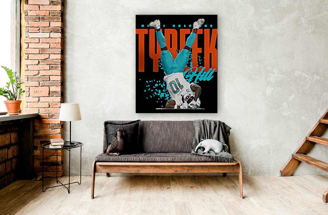 miami dolphins 11 Reproduction