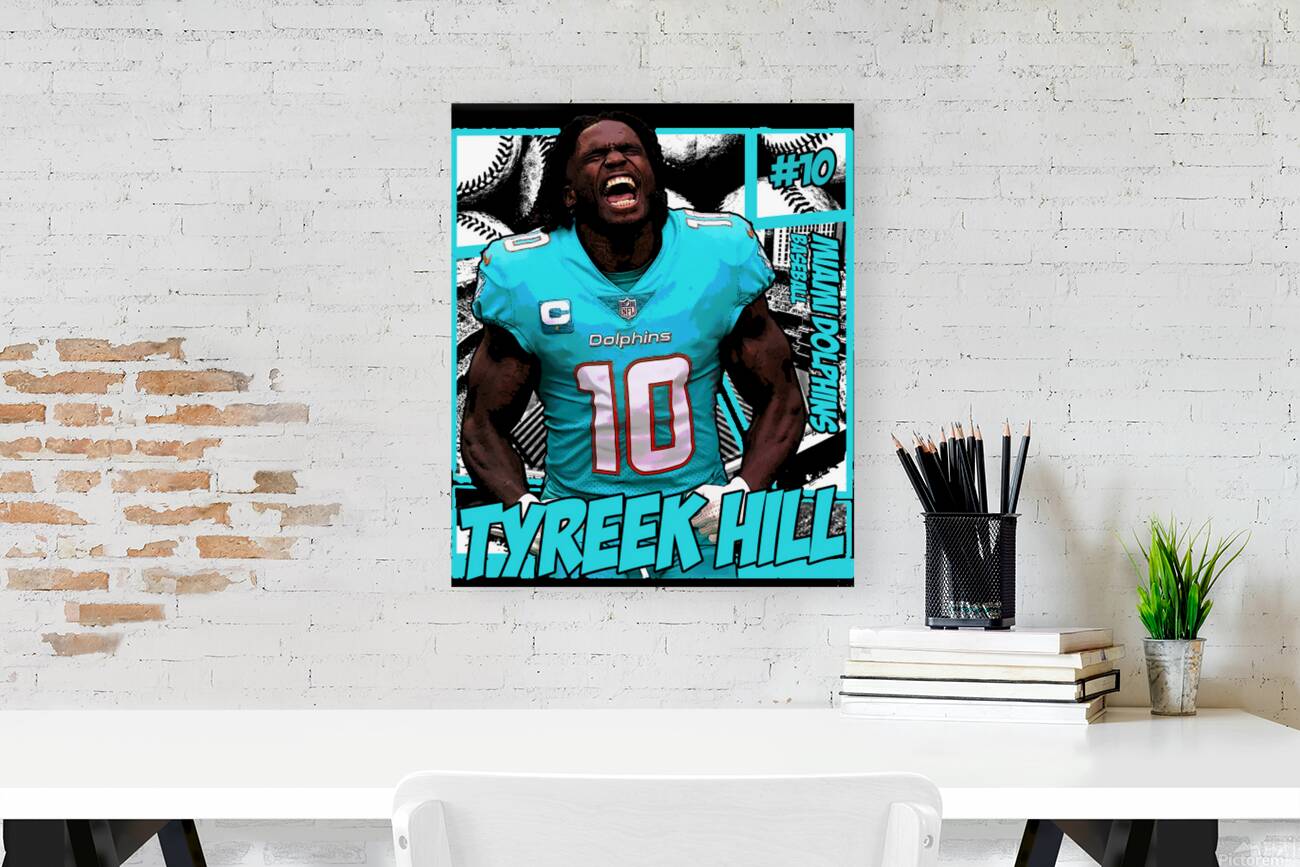 miami dolphins 17 Reproduction