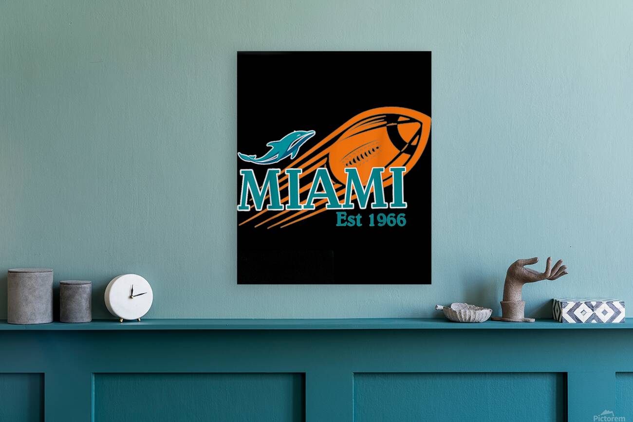 miami dolphins 19 Reproduction