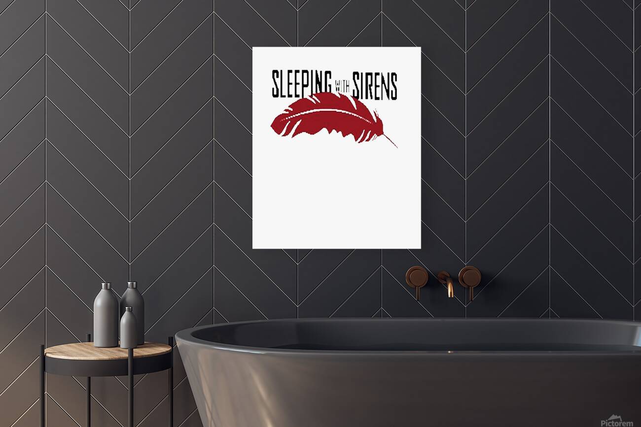sleeping with sirens 16 Reproduction