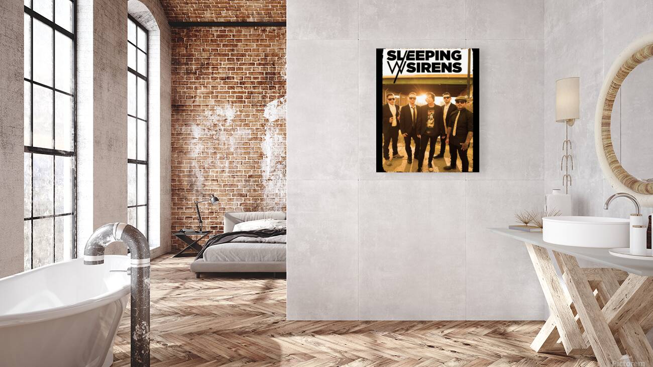 sleeping with sirens 17 Reproduction