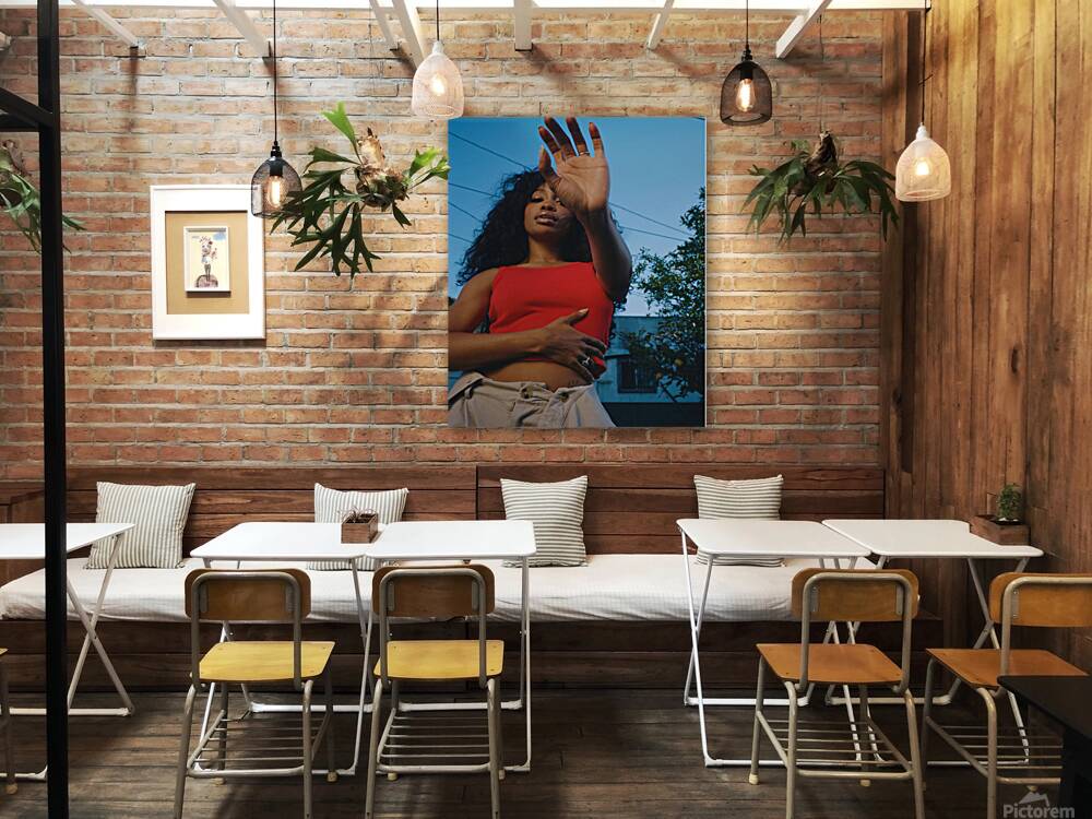 SZA 21 Reproduction