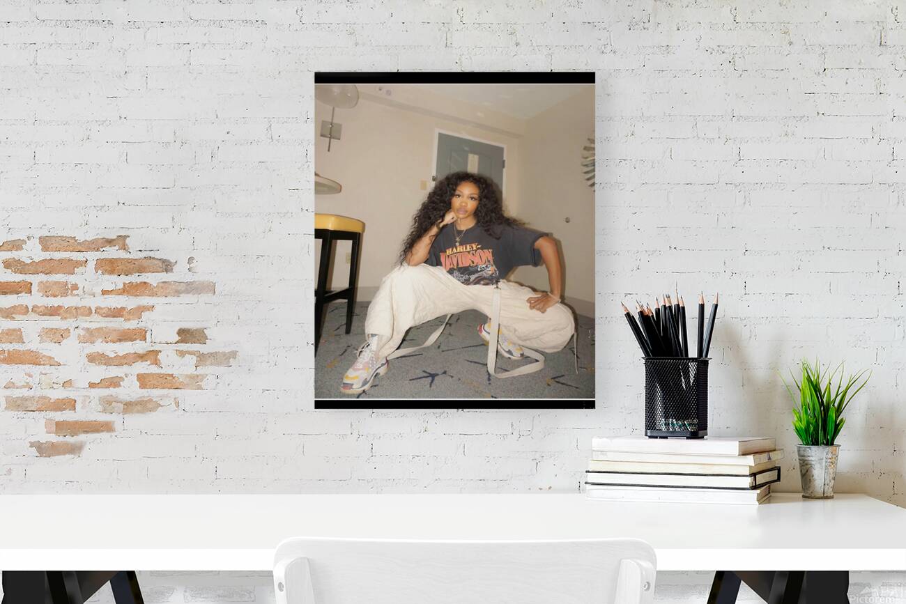 SZA 56 Reproduction