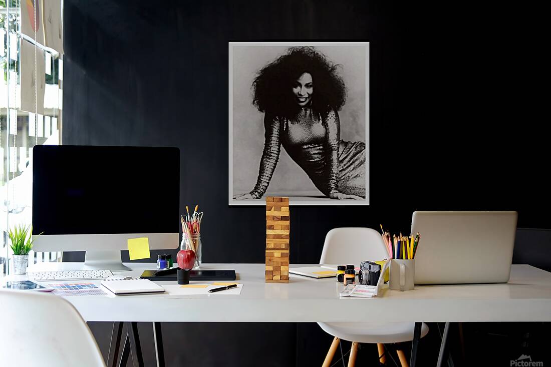 Chaka Khan 13 Reproduction