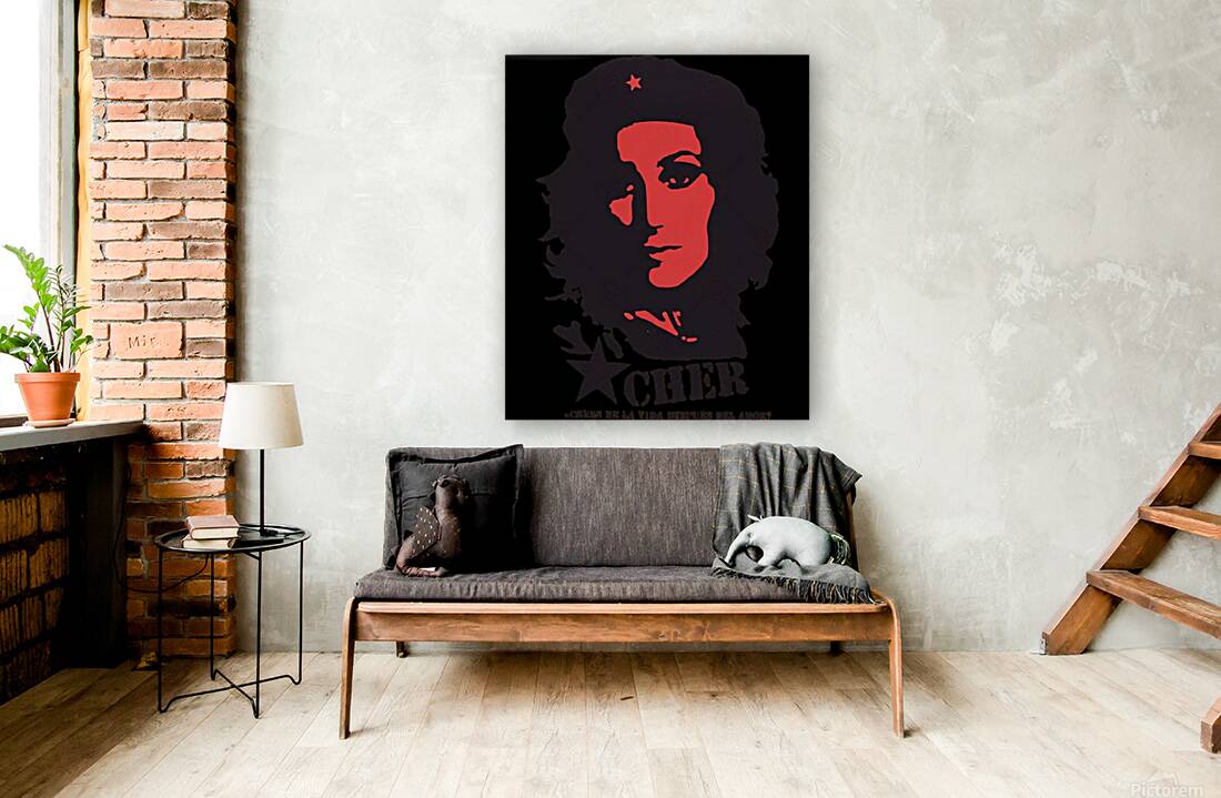 Cher 19 Reproduction