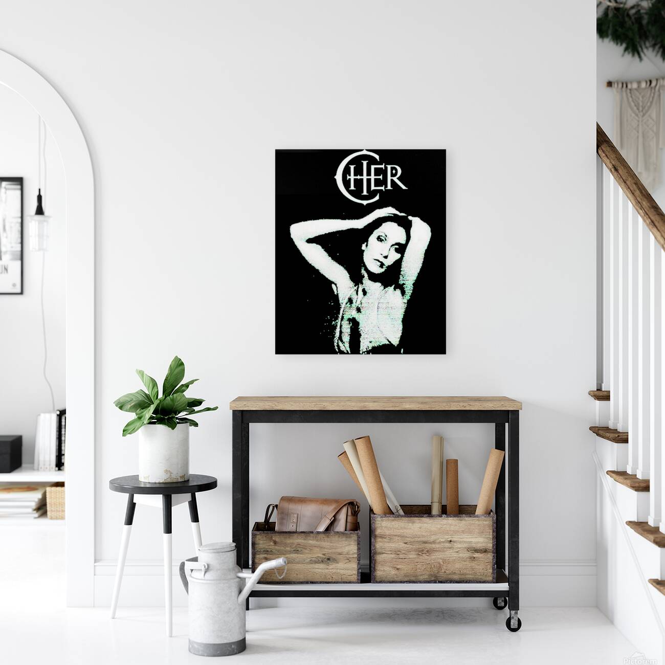 Cher 31 Reproduction