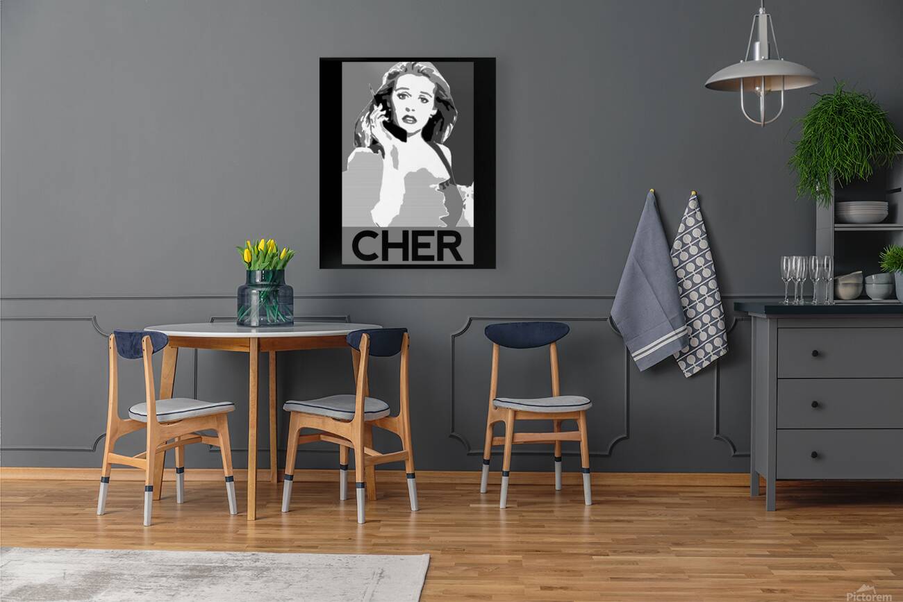 Cher 33 Reproduction
