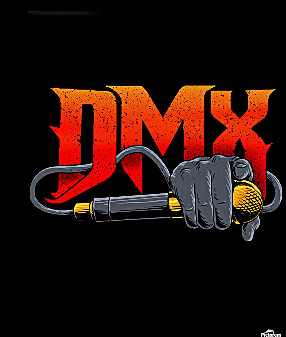 DMX 6 Reproduction