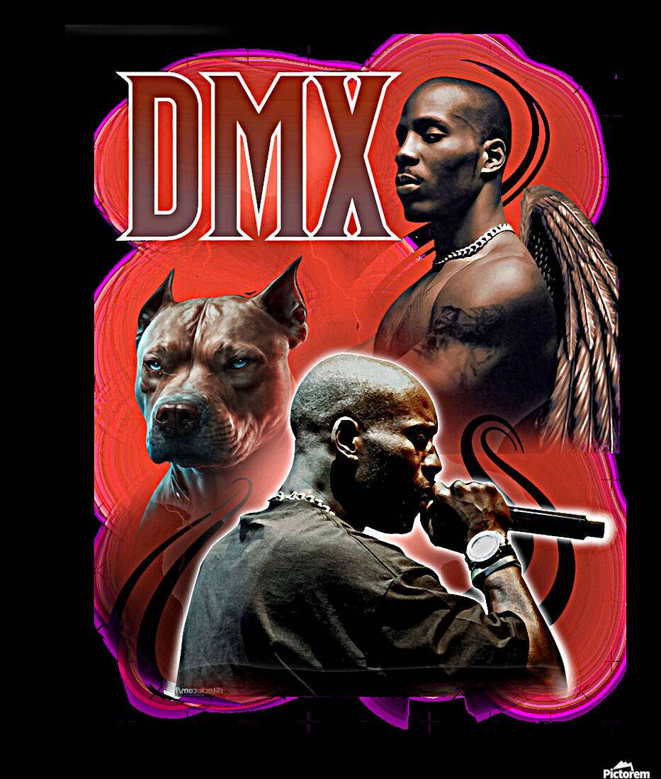 DMX 17 Reproduction