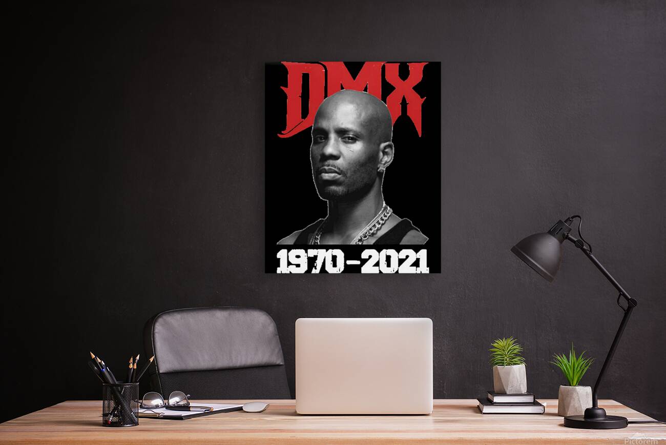 DMX 28 Reproduction