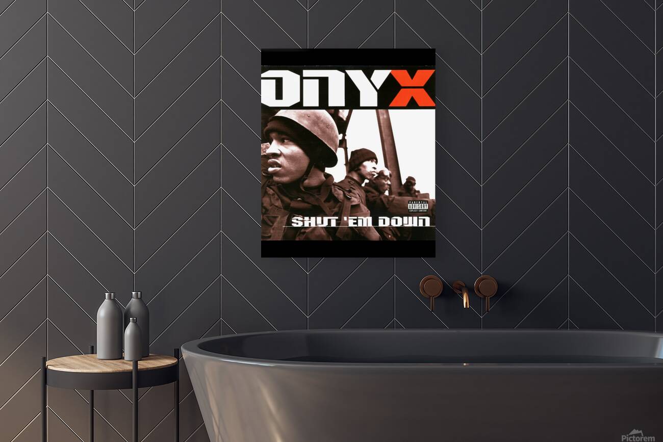 DMX 31 Reproduction