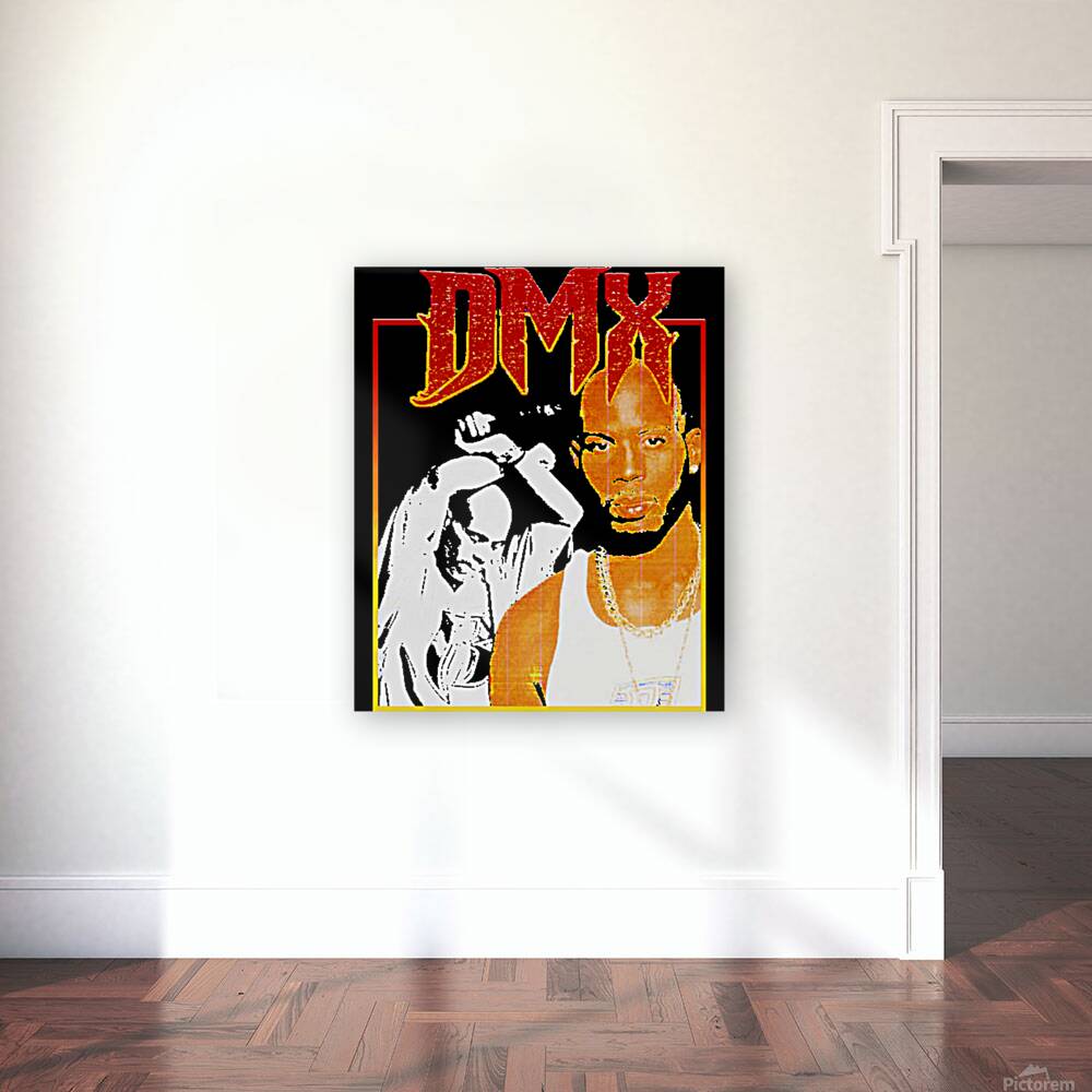 DMX 48 Reproduction