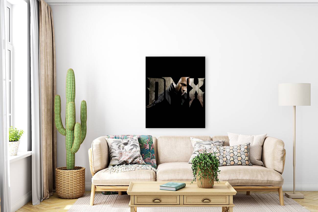 DMX 50 Reproduction