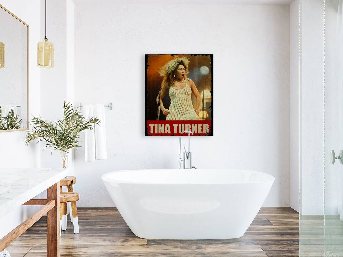 Tina Turner 21 Reproduction