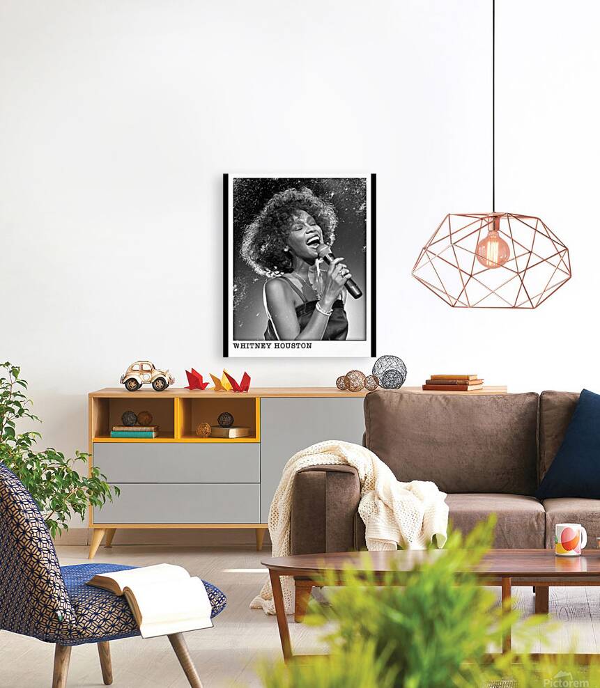 Whitney Houston 28 Reproduction