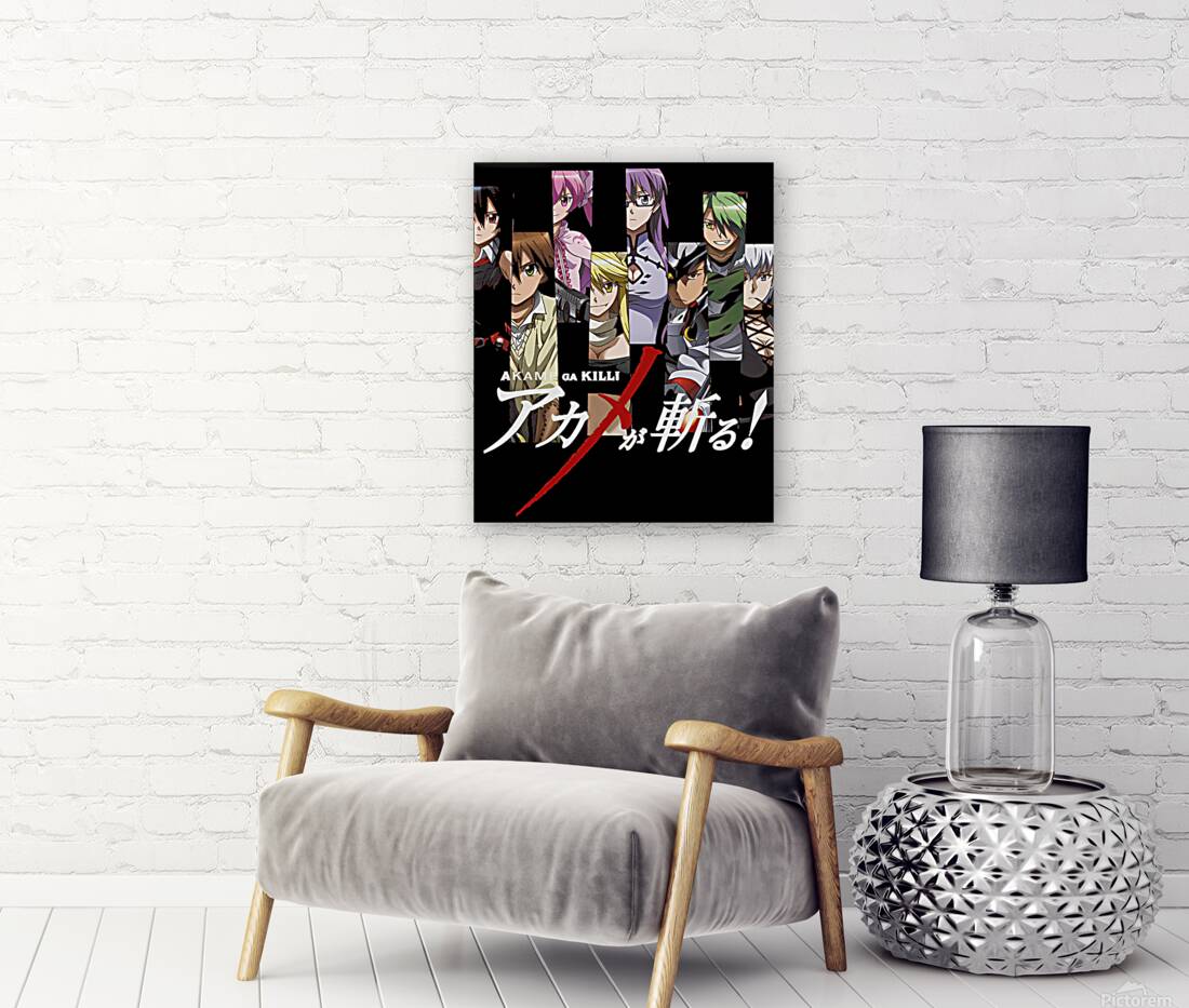 Akame ga Kill 31 Reproduction