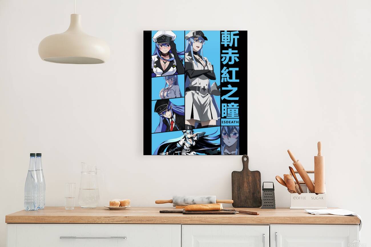 Akame ga Kill 2 Reproduction