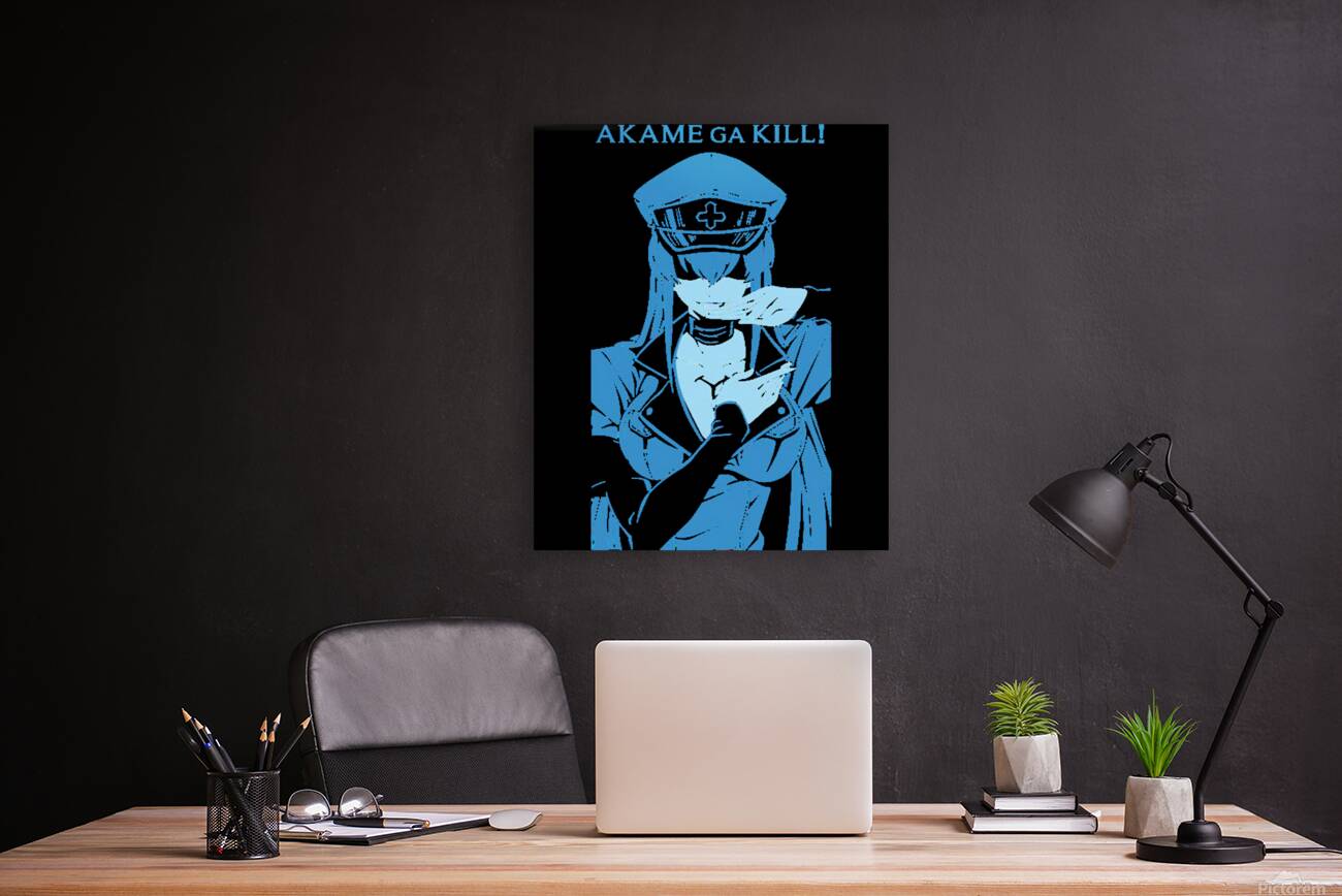 Akame ga Kill 28 Reproduction