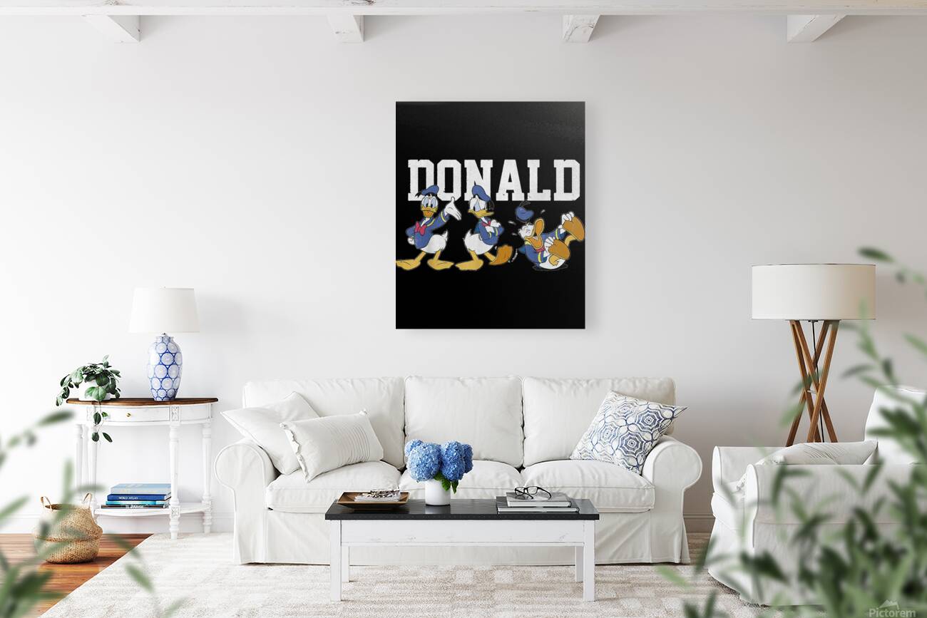 Donald Duck 27 Reproduction