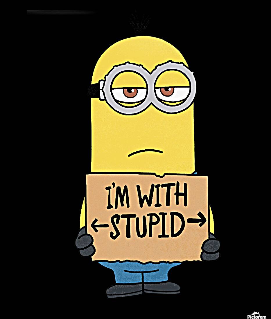 Minion 54 Reproduction