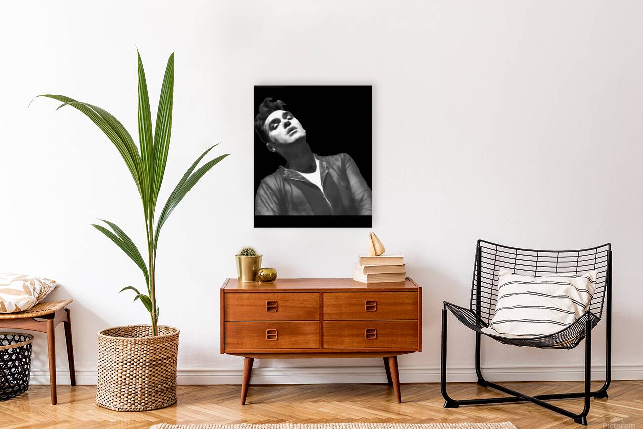 Morrissey 6 Reproduction
